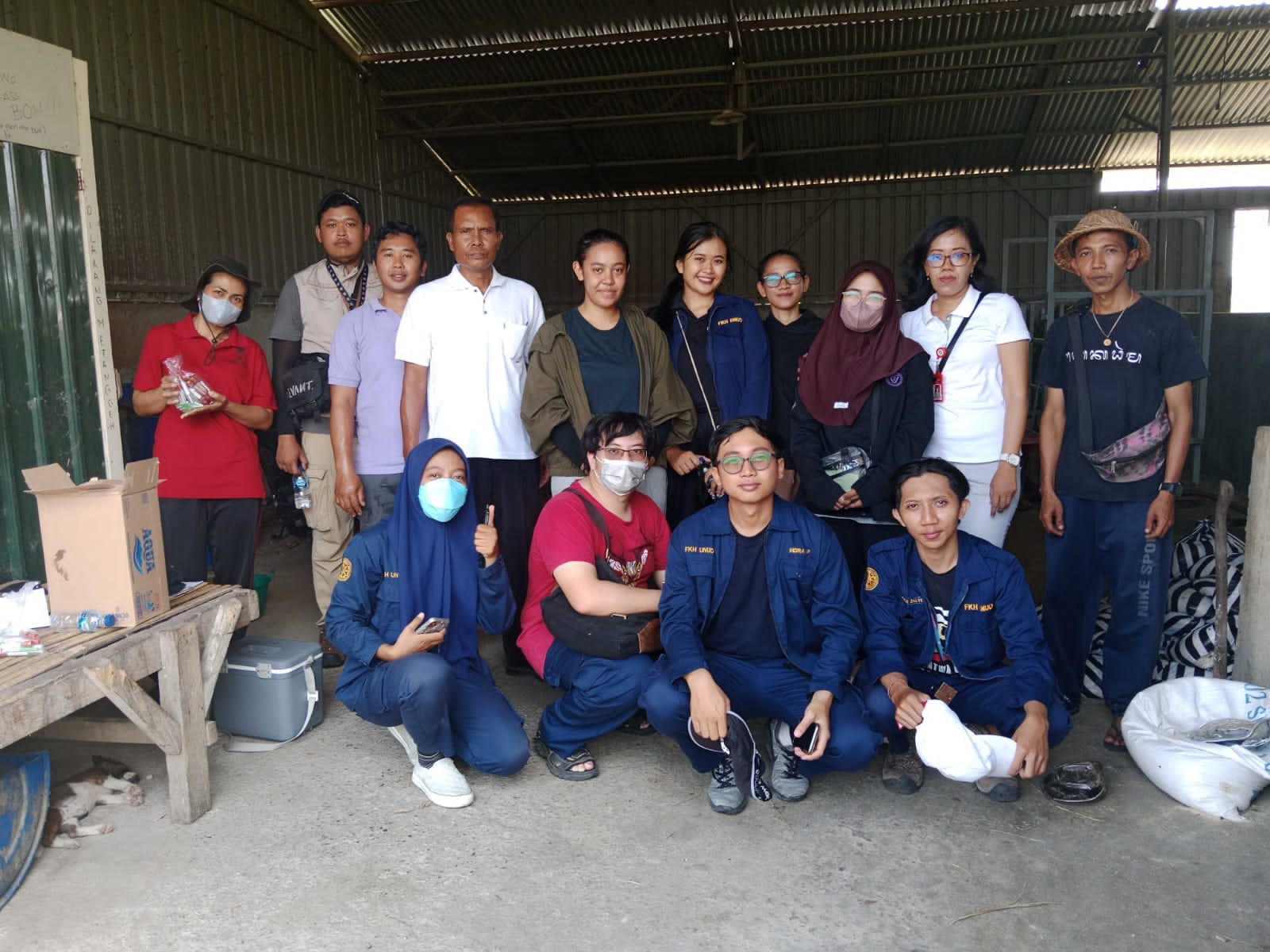 Tim dokter hewan dan mahasiswa FKH Universitas Udayana di peternakan NR Farm