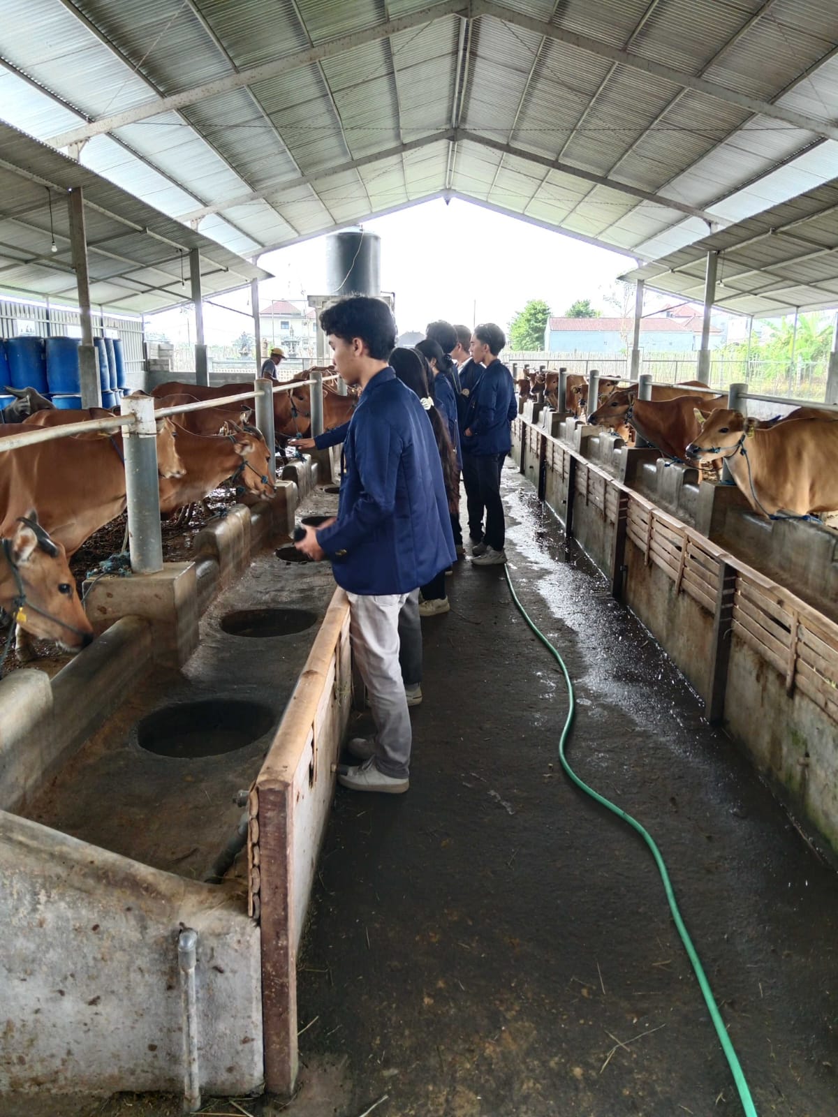 Sistem Kandang NR Farm